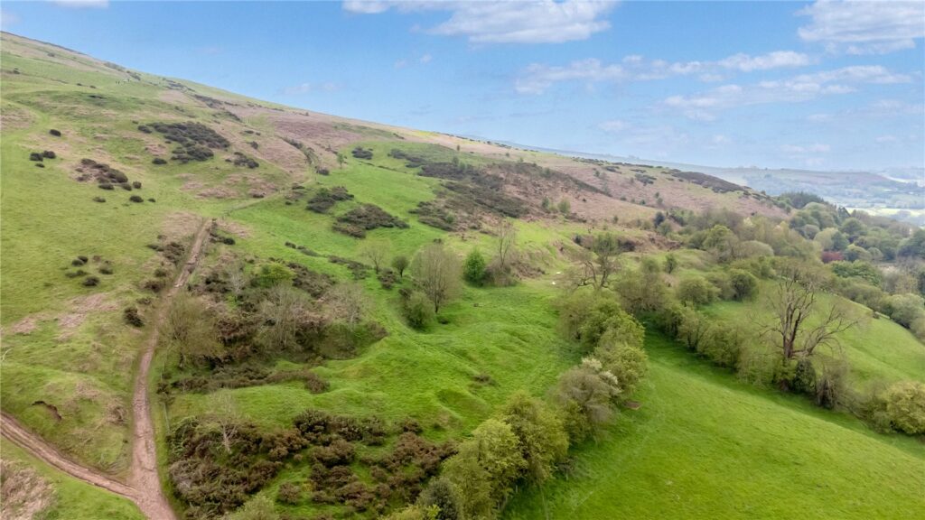 Lot 3 Land At Upper House Farm, Abdon - Picture No. 07