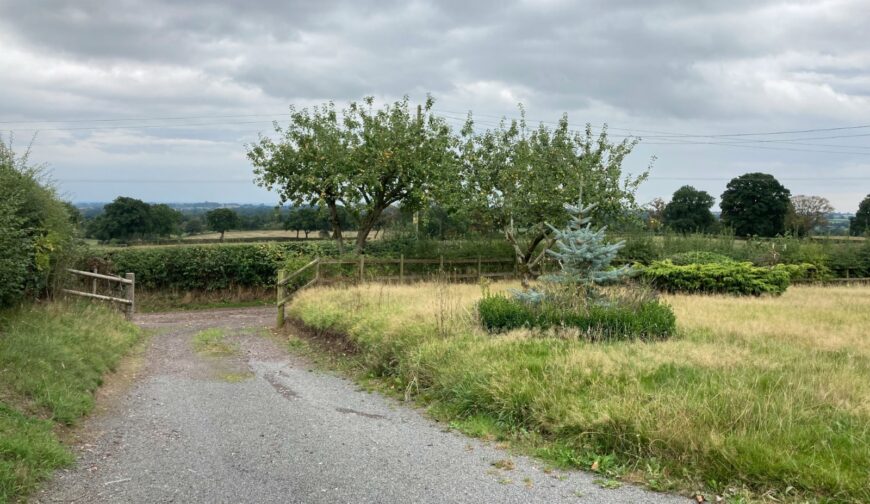 Bank House, Sugnall - Driveway