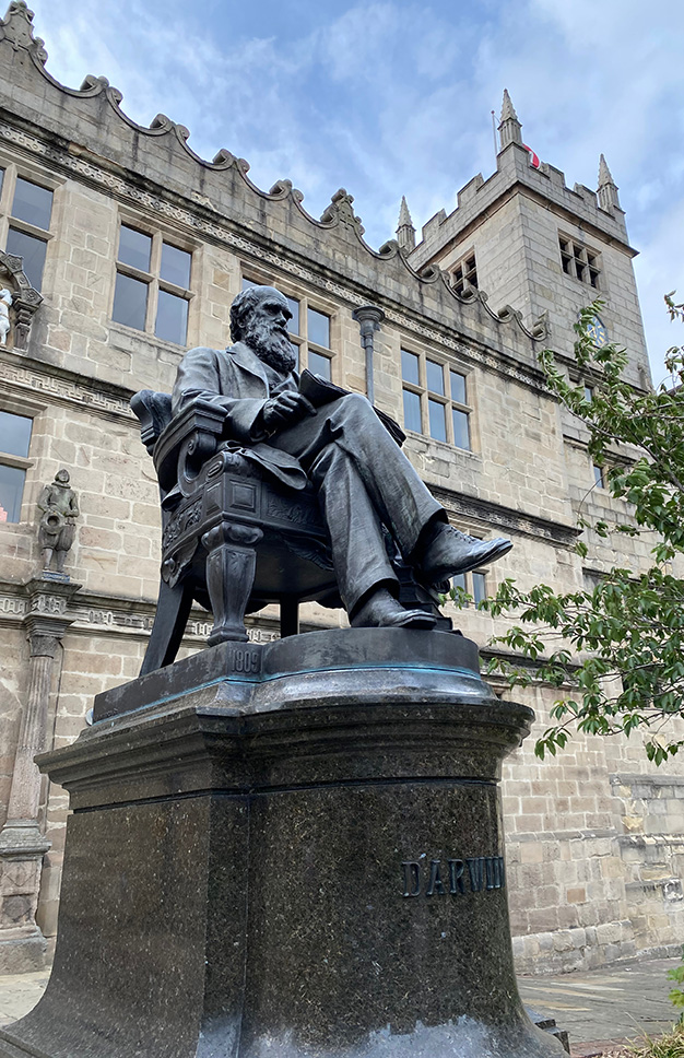 Shrewsbury Library - Balfours