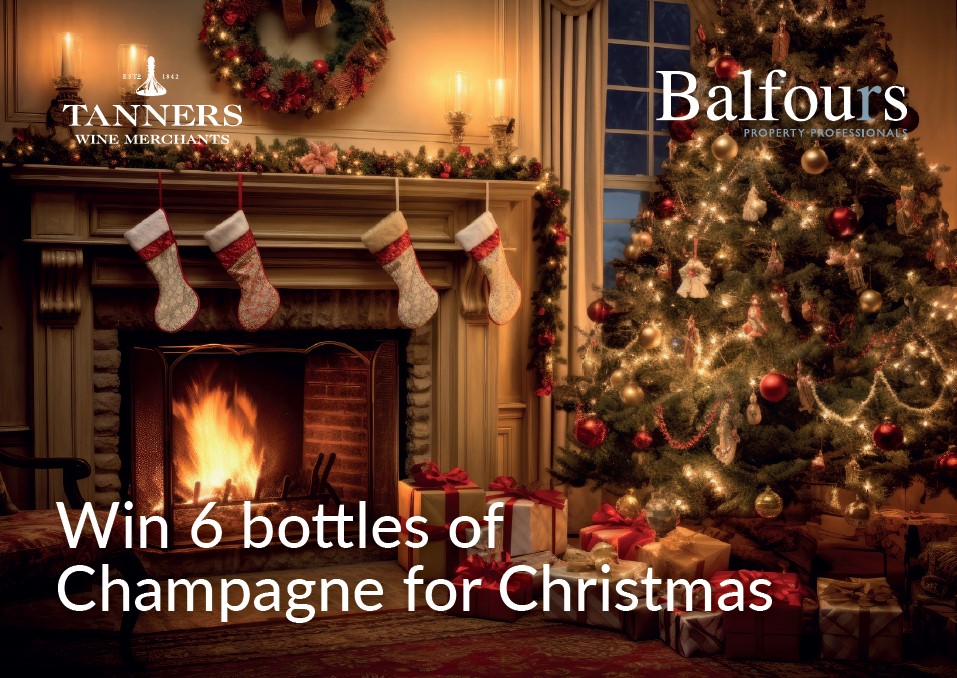 Adorn your Christmas tree to win Champagne