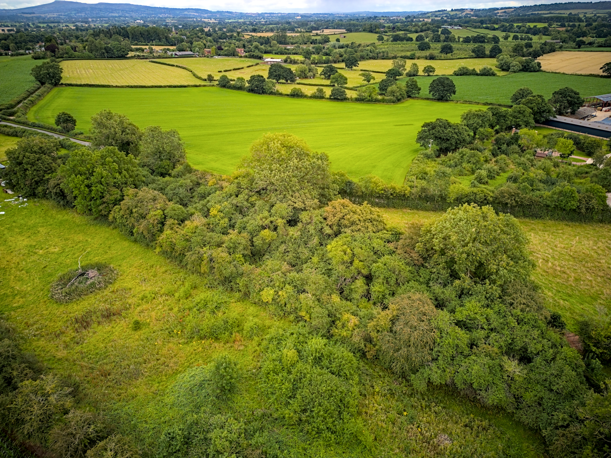 Land adjacent The Old Police House – Shropshire, Hereford border woodland seeks new custodian