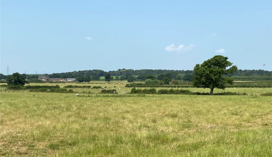 Forest Thorn Farm Barns, Barton Gate - Views