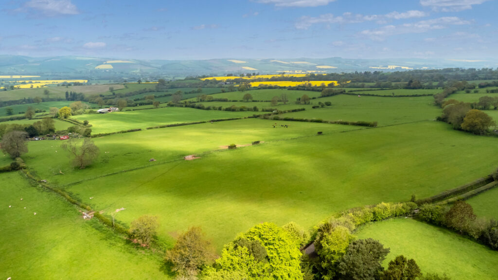 Land in South Shropshire on the market