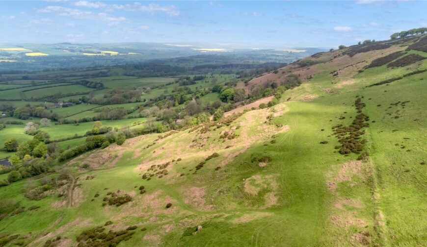 Lot 3 Land At Upper House Farm, Abdon - Picture No. 02