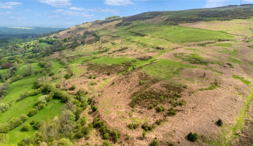 Lot 3 Land At Upper House Farm, Abdon - Picture No. 05
