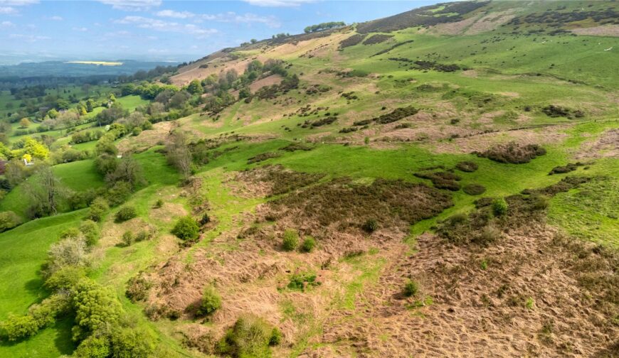 Lot 3 Land At Upper House Farm, Abdon - Picture No. 06