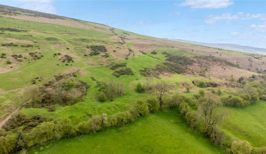 Lot 3 Land At Upper House Farm, Abdon - Picture No. 08