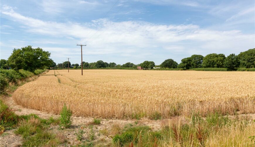 Land At Somerwood Lot 1, Somerwood - Road Frontage