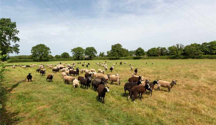 Land At Somerwood Lot 2, Somerwood - Pasture