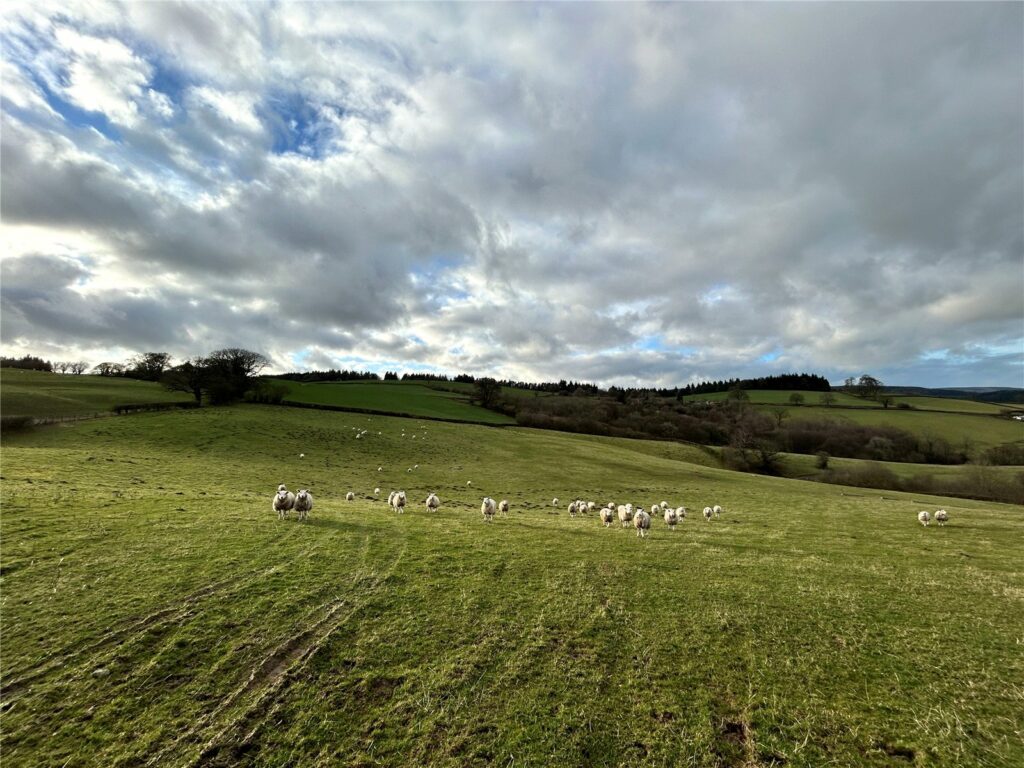 Land At Oakhill, Boresford - Picture No. 01