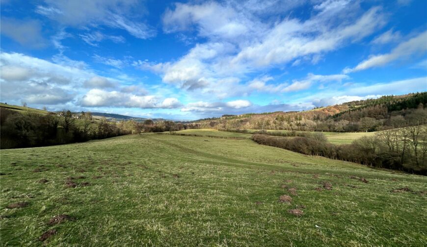 Land At Oakhill, Boresford - Picture No. 02