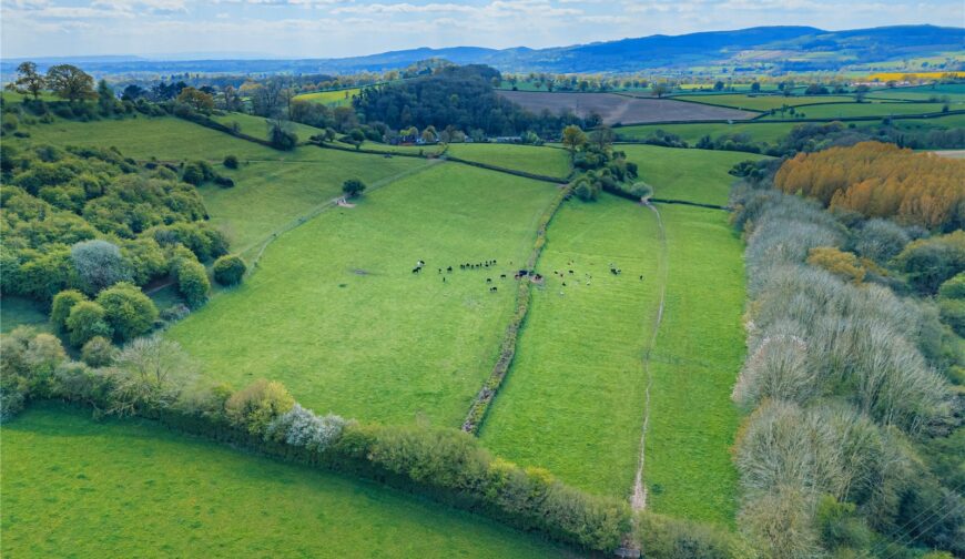 Lot 2 Land At Poughnhill Farm, Caynham - Picture No. 11