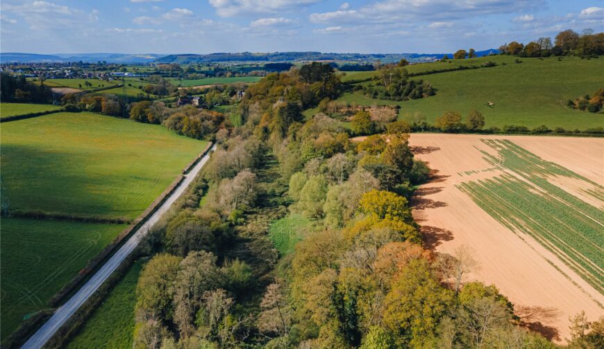 Lot 3 Sheet Road Meadows, Caynham - Picture No. 03