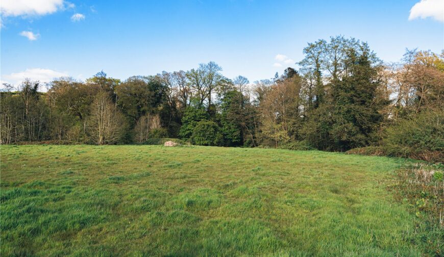 Lot 3 Sheet Road Meadows, Caynham - Picture No. 04