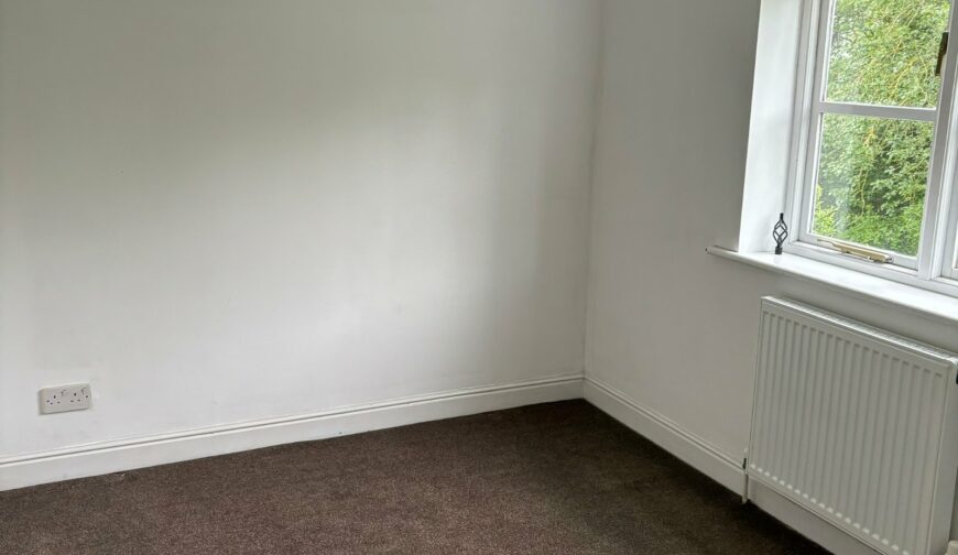 7 Hampton Beech - Picture No. 01