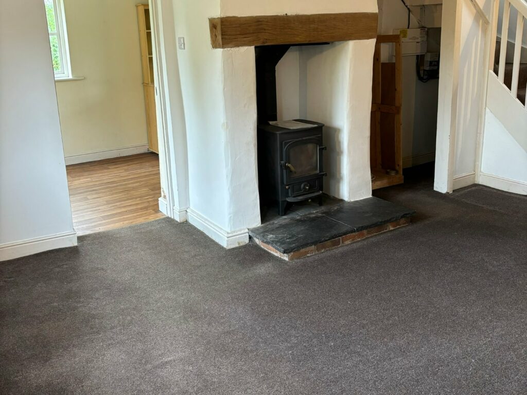 7 Hampton Beech - Picture No. 03