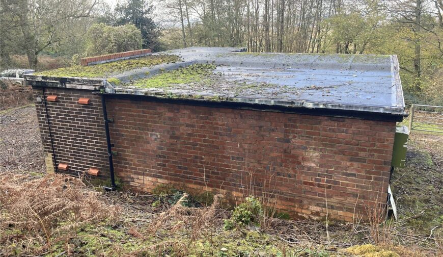 Primeswell Spring, British Camp - Picture No. 24