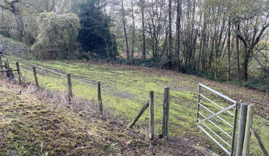 Primeswell Spring, British Camp - Picture No. 26