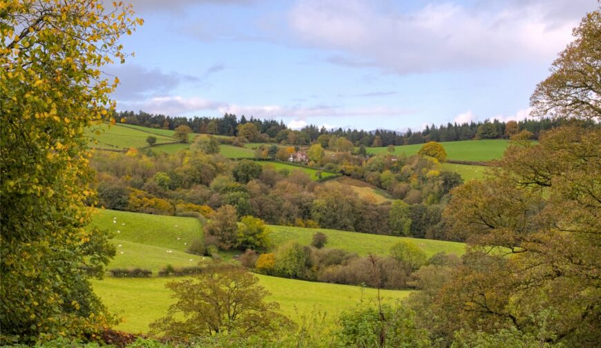 Oakhill Farm, Boresford - Picture No. 10