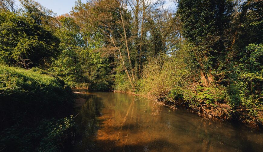 Lot 3 Sheet Road Meadows, Caynham - Picture No. 07