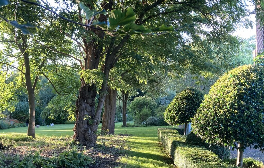 Dorrington House, Dorrington - 19