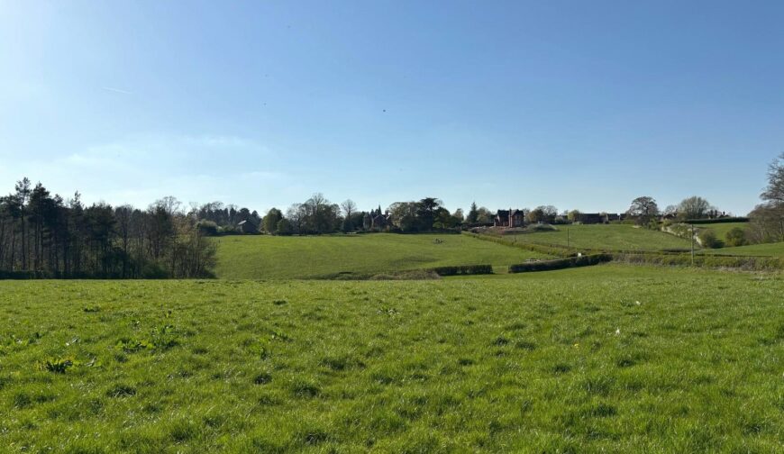 Land At Rangemore, Staffordshire - Picture No. 02