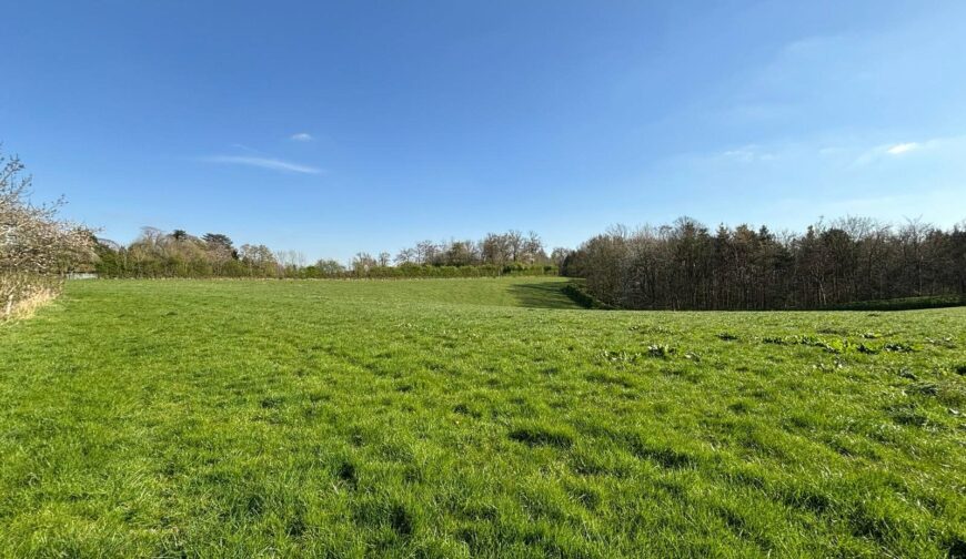 Land At Rangemore, Staffordshire - Picture No. 03
