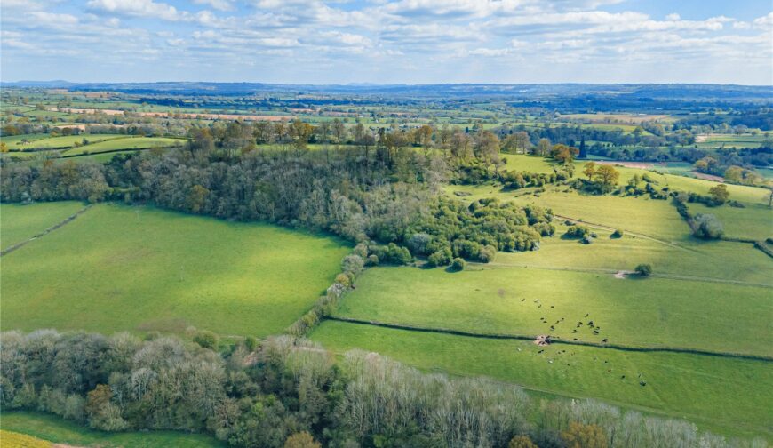 Lot 2 Land At Poughnhill Farm, Caynham - Picture No. 01