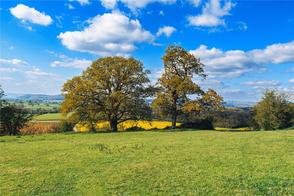 Lot 2 Land At Poughnhill Farm, Caynham - Picture No. 03