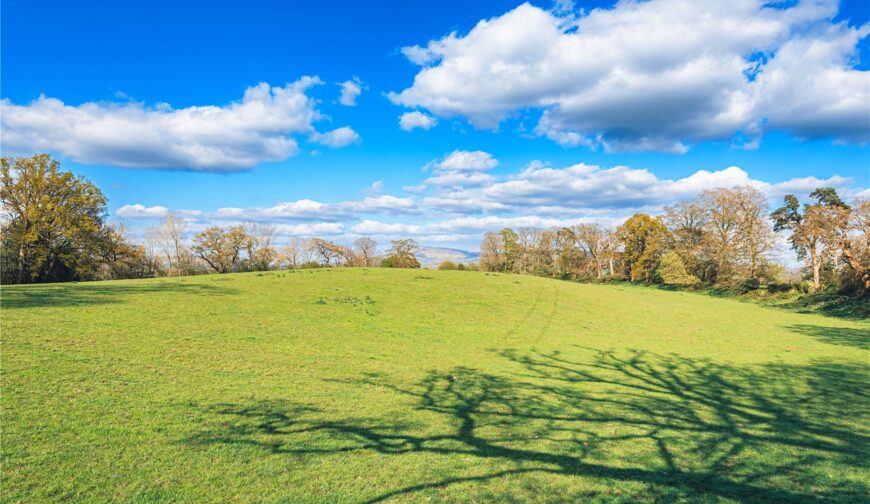 Lot 2 Land At Poughnhill Farm, Caynham - Picture No. 04