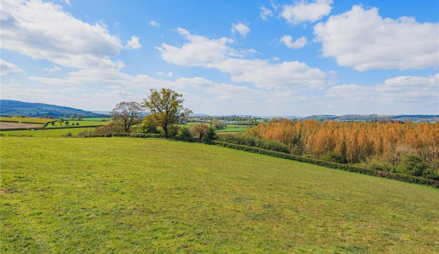 Lot 2 Land At Poughnhill Farm, Caynham - Picture No. 07