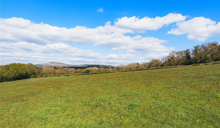 Lot 2 Land At Poughnhill Farm, Caynham - Picture No. 18