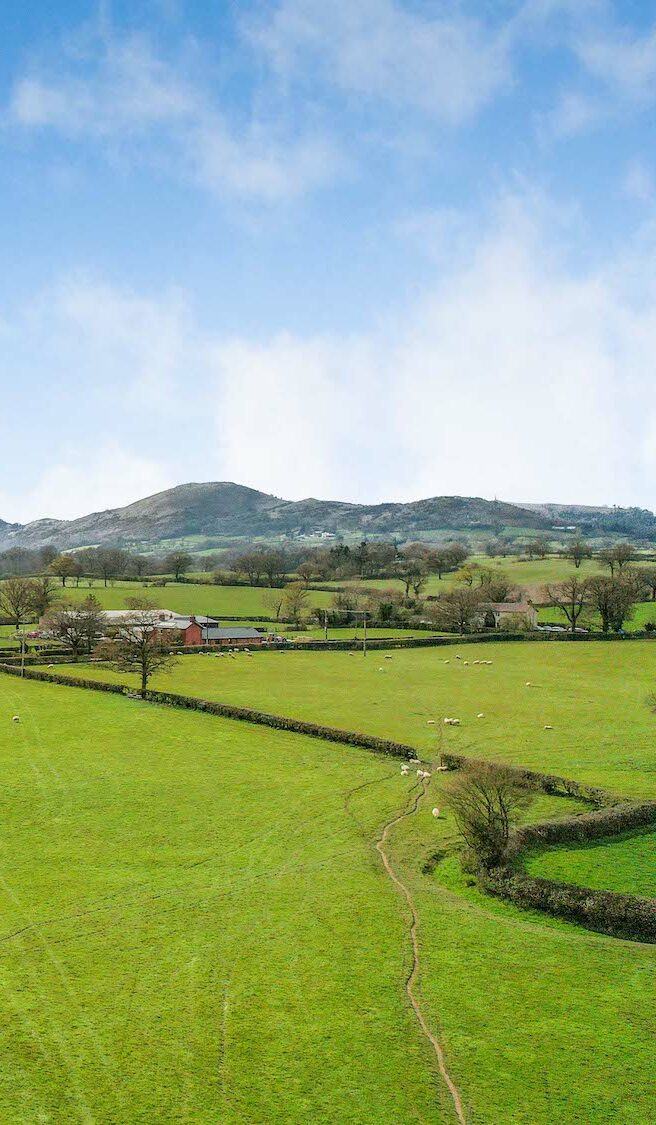 Little-Stanford-Balfours-aspect-ratio-480-823