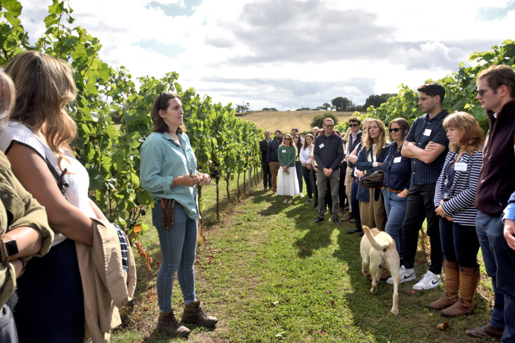 Staff day at Vineyard close to the company’s roots