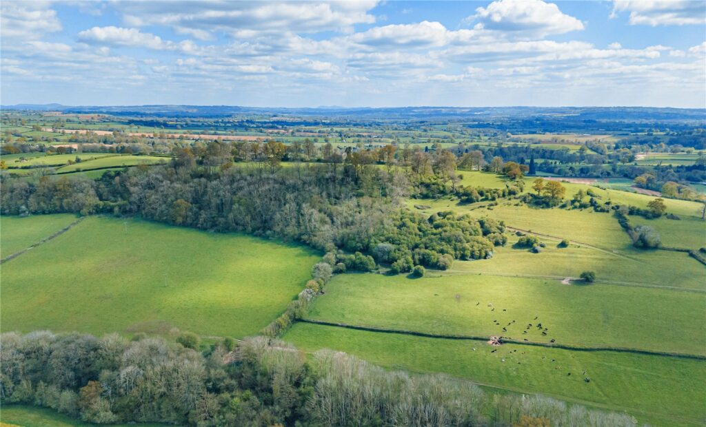 Poughnhill Farm, Caynham - Picture No. 17