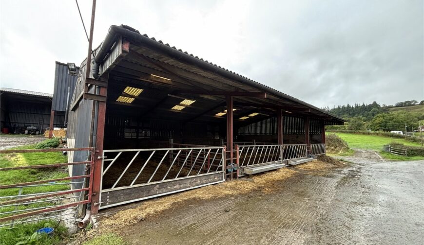 Dinam Estate Farming Opportunity, Tynyrwrta Farm - Picture No. 01