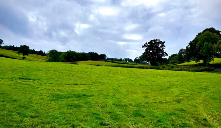 Dinam Estate Farming Opportunity, Tynyrwrta Farm - Picture No. 03
