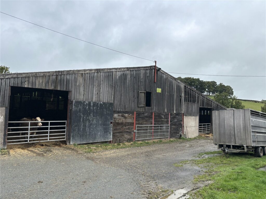 Dinam Estate Farming Opportunity, Tynyrwrta Farm - Picture No. 04