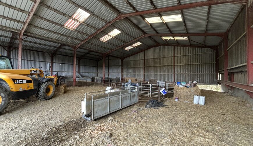 Dinam Estate Farming Opportunity, Tynyrwrta Farm - Picture No. 05