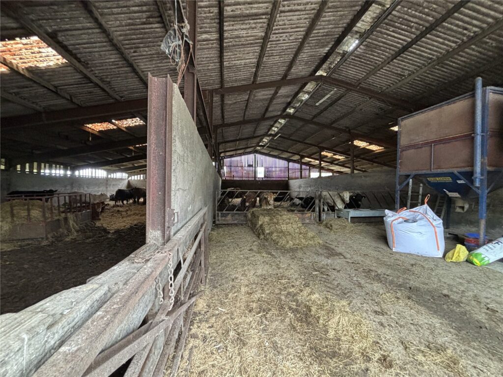Dinam Estate Farming Opportunity, Tynyrwrta Farm - Picture No. 06