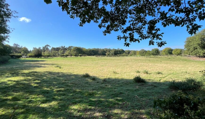 Grazing Land At Weston Heath, Weston Heath - Picture No. 01