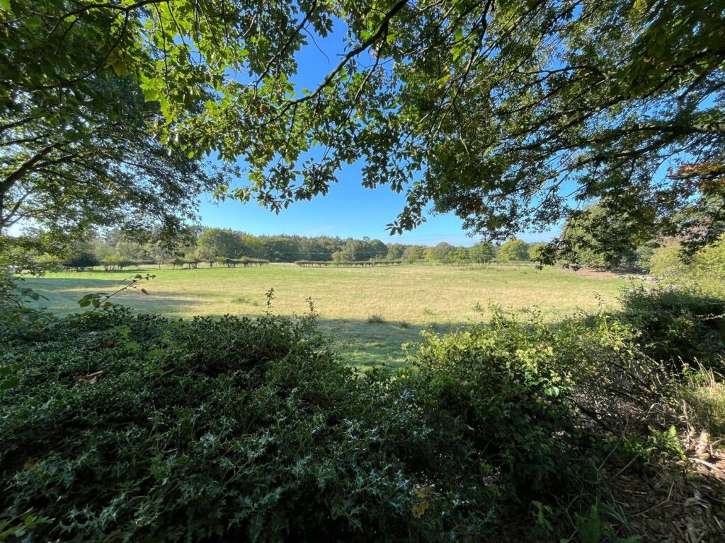 Grazing Land At Weston Heath, Weston Heath - Picture No. 02