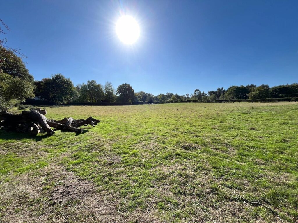 Grazing Land At Weston Heath, Weston Heath - Picture No. 04