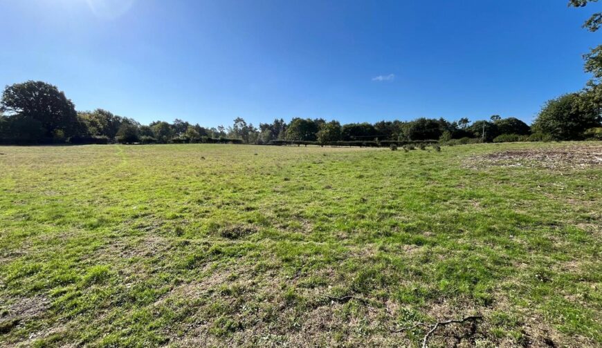 Grazing Land At Weston Heath, Weston Heath - Picture No. 05