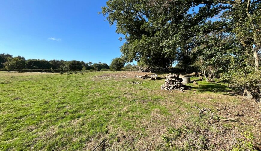 Grazing Land At Weston Heath, Weston Heath - Picture No. 06