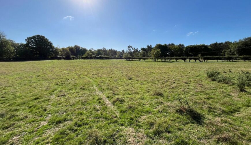 Grazing Land At Weston Heath, Weston Heath - Picture No. 07