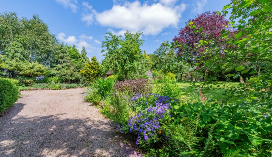 The Plough, Cockshutford - Picture No. 38