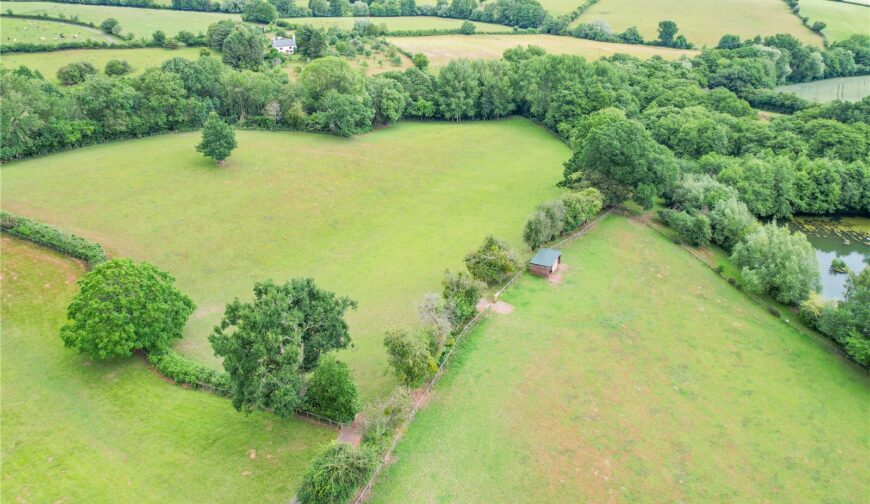 East Meadows, Nash - Picture No. 44