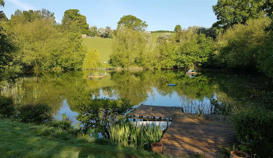 East Meadows, Nash - Picture No. 36