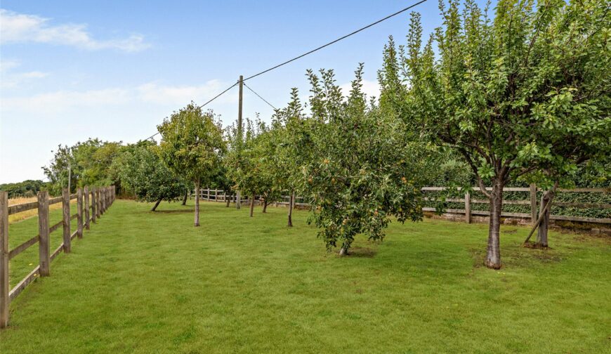 The Barley House, Red House Farm, Longdon-upon-Tern - Orchard